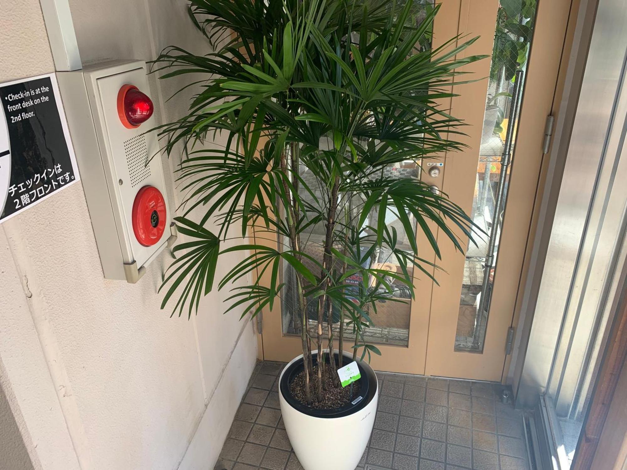 Hostel Lodging Tokyo Uguisudani Zewnętrze zdjęcie